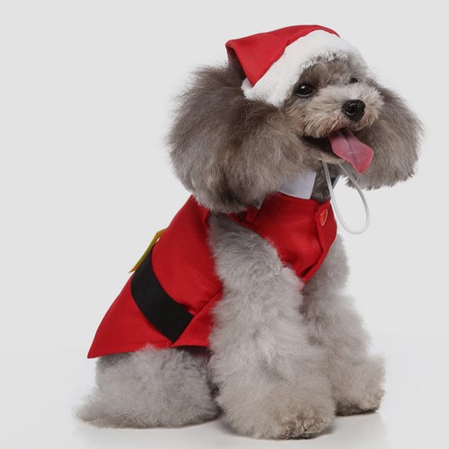 Vestiti per cani - vestiti,